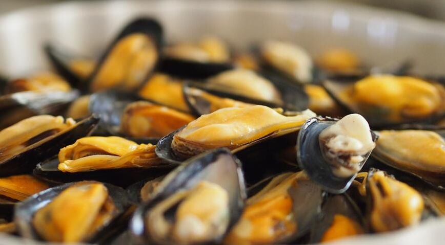 mussels នៅលើរបបអាហារប្រូតេអ៊ីន